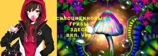 a pvp Алексин