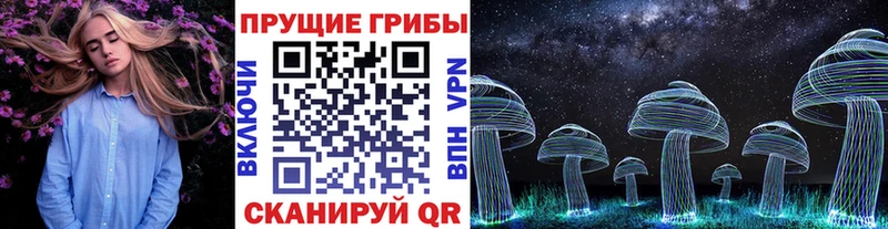 Галлюциногенные грибы Psilocybe OMG зеркало Инта